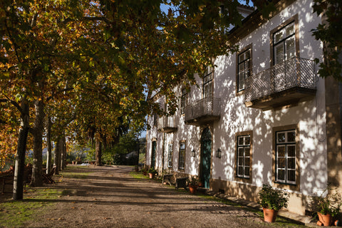 QUINTA DO VALE MEÃO - DOURO, PORTUGAL