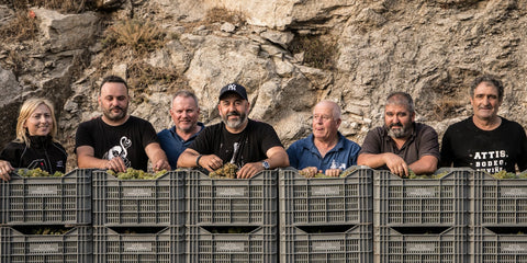 ATTIS- BODEGAS COMPOSTELA