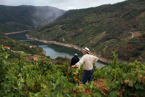 ALGUEIRA RIBEIRA SACRA - ARNOIA, ESPAÑA