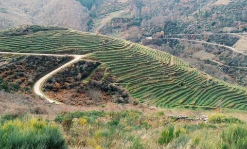 DOMINIO DE BIBEI - RIBEIRA SACRA, ESPAÑA