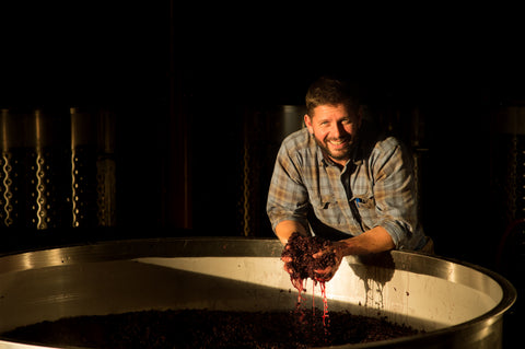 BERGSTRÖM VINEYARDS - OREGON, ESTADOS UNIDOS
