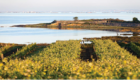 FORJAS DEL SALNÉS - GALICIA, ESPAÑA
