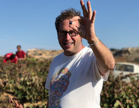 BODEGAS ANTÍDOTO - RIBERA DEL DUERO, ESPAÑA