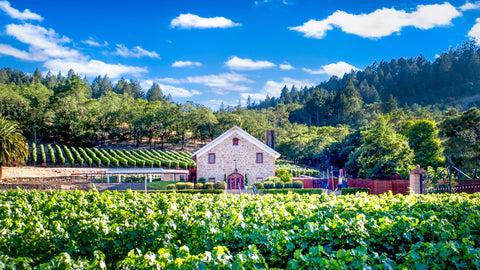MORLET FAMILY VINEYARDS - SONOMA COUNTY, CALIFORNIA