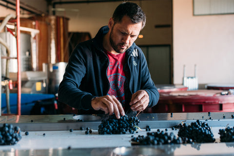 OLIVIER RIVIÈRE - LA RIOJA, ESPAÑA