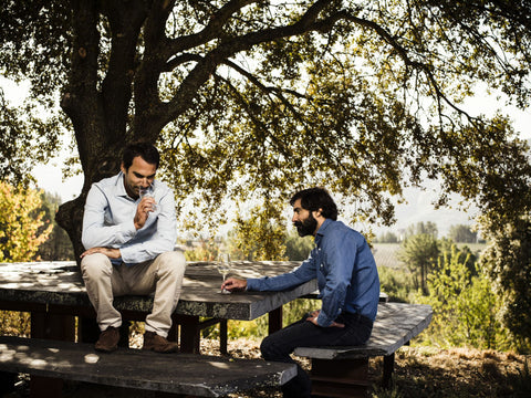 VALDESIL VITICULTORES EN PORTELA - GALICIA, ESPAÑA