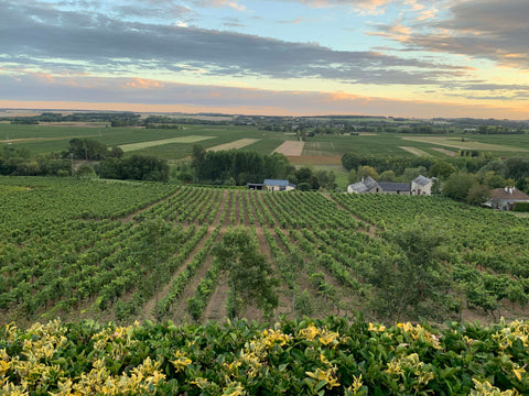 DOMAINE PALLUS - CHINON, FRANCIA