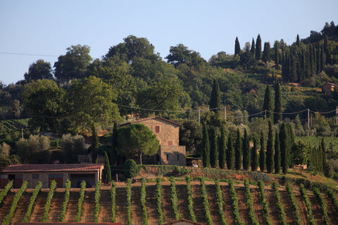 Casa y Viñedos de bodega La Gerla