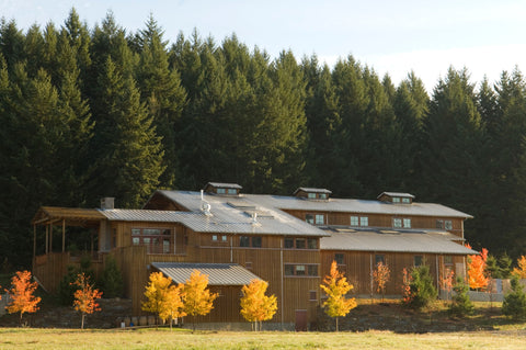 LEMELSON VINEYARDS - OREGON, ESTADOS UNIDOS